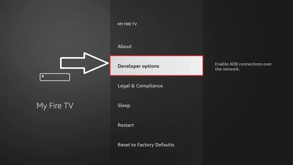 Developer Options visible