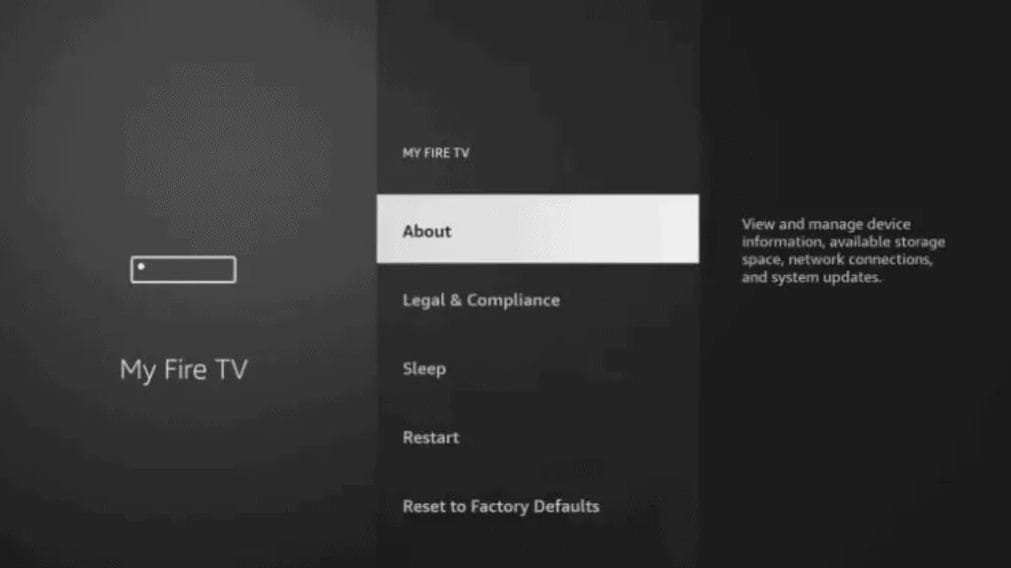 Developer Options